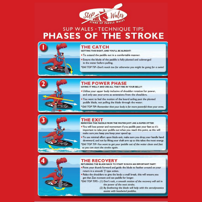 Phases of the Stroke