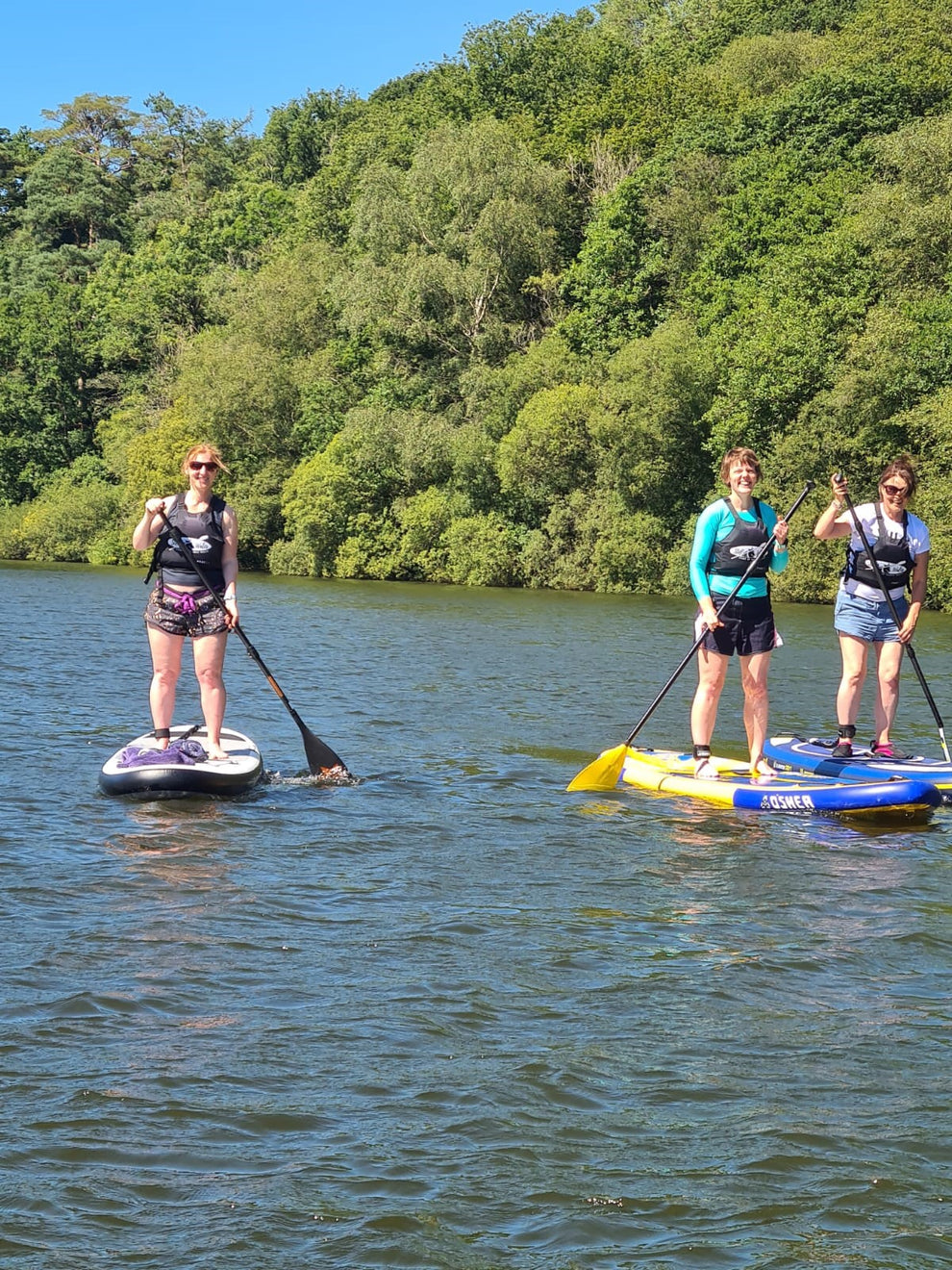 SUP Introductory Session  (Adult)