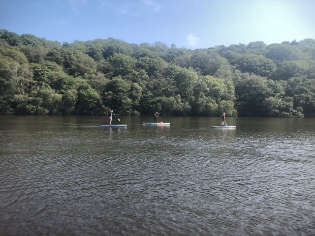 SUP Introductory Session  (Adult)